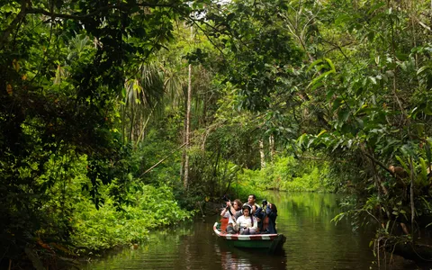 Santa Cruz avanza hacia la protección de más de 2 mil hectáreas de bosques en el corazón del Huallaga