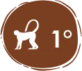 Anfibios – especies de anfibios
