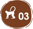 Mamíferos – registros de mamíferos