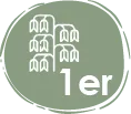 Flora – registros de flora