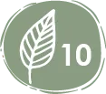 Anfibios – especies de anfibios