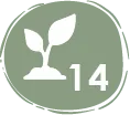 Altitud – registro altitudinal más alto de la especie Ateles belzebuth