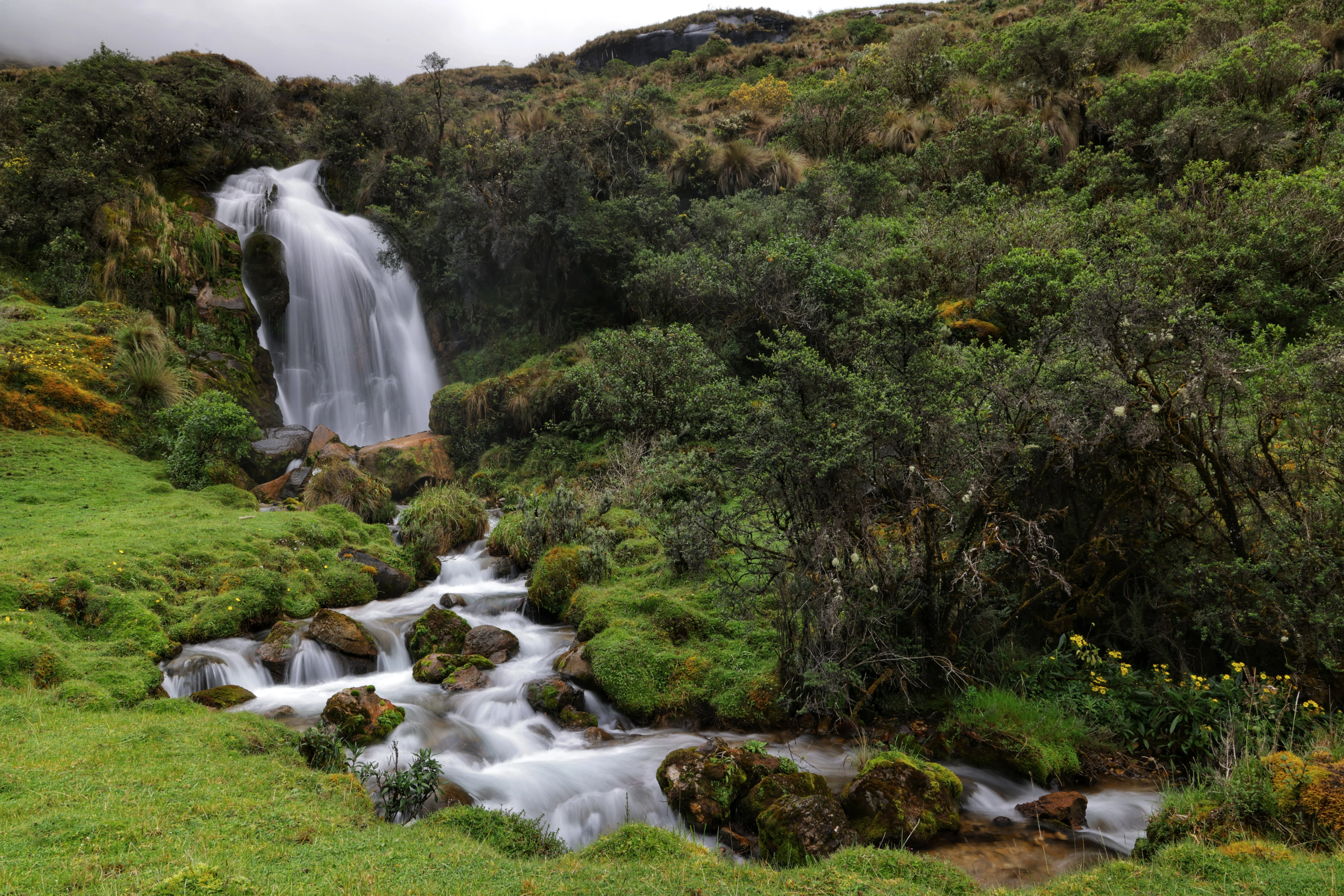 Paisaje de la Amazonía peruana
