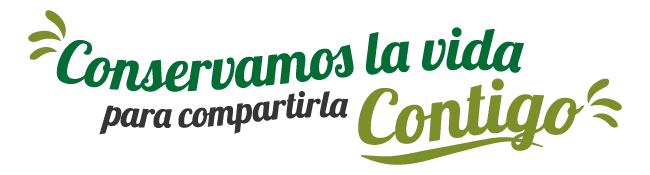 Elementos gráficos AMPA