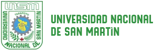 Universidad Nacional de San Martín
