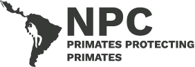 NeoPrimate