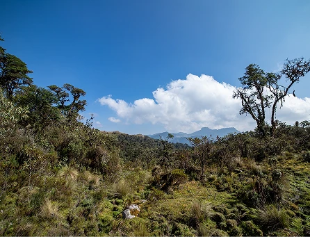 Paisaje CCAH