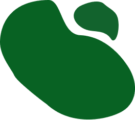 Decoración verde